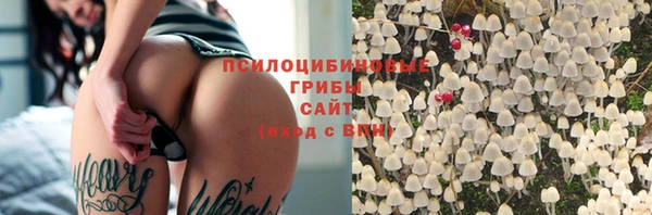 герыч Арсеньев