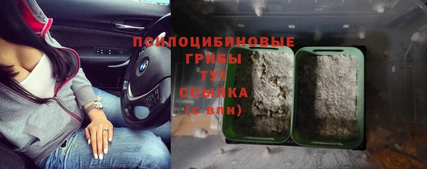 герыч Арсеньев